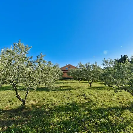Taras Holiday home
